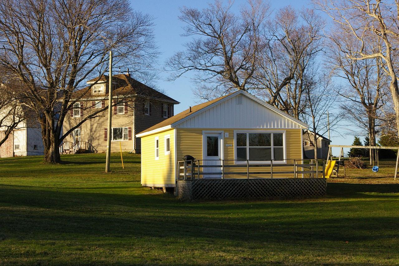 Wingspread Cottages Stanley Bridge Exterior photo